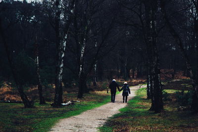 Rear view of couple holding hands while walking on footpath in forest