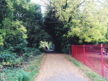 Footpath amidst trees