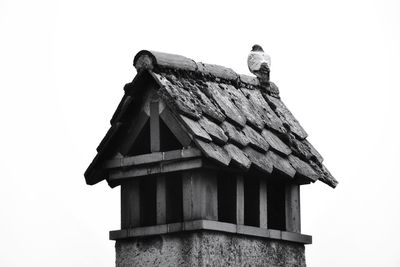 Low angle view of bird perching on roof against clear sky