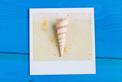 High angle view of shell with picture frame on blue table