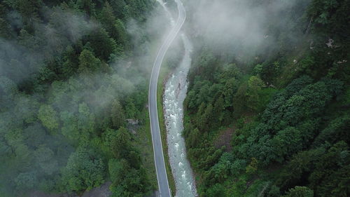 Aerial view of river flowing through forest