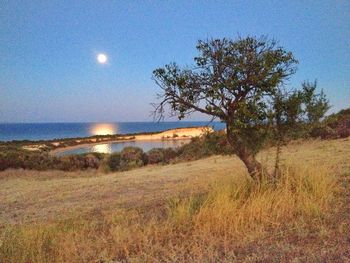 Scenic view of land against clear sky