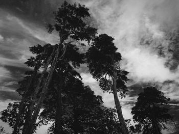 Low angle view of trees against cloudy sky