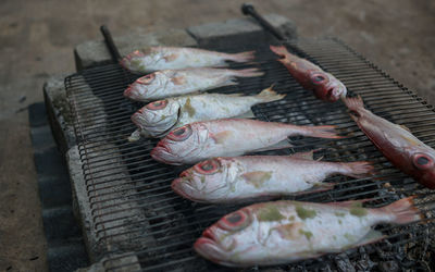 High angle view of fish on barbecue grill