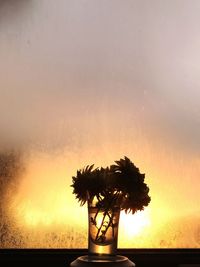 Silhouette palm tree against sky during sunset