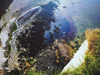 High angle view of rocks on beach
