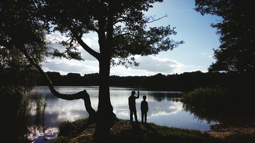 Reflection of trees in lake