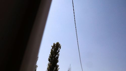 Low angle view of trees against sky