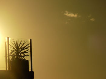 Low angle view of silhouette plants against sky during sunset