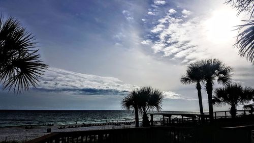 Low angle view of silhouette palm trees on beach against sky