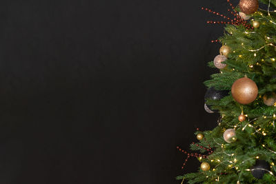 Close-up of christmas decorations against black background