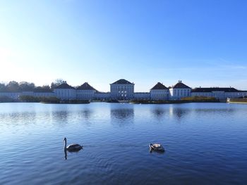 Ducks swimming in lake against clear blue sky