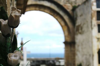 Low angle view of artificial flowers at cemetery