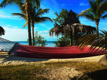 Palm trees on beach against sky