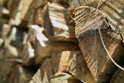 Full frame shot of logs in forest