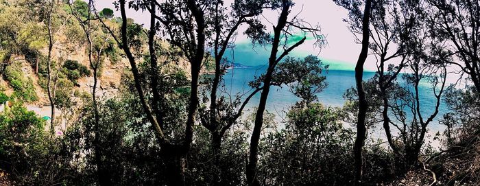 Scenic view of lake against blue sky