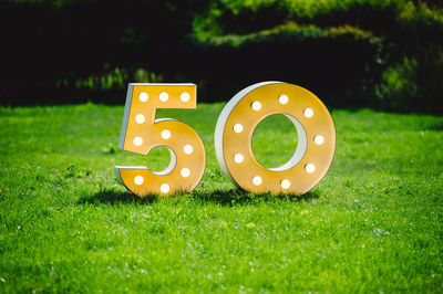 Illuminated numbers on grassy field in park