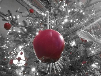 Close-up of christmas decorations hanging on tree