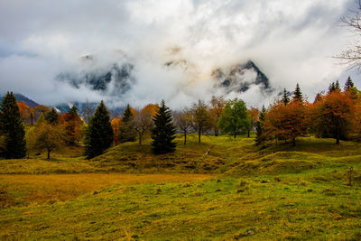 Trees on field against sky during autumn