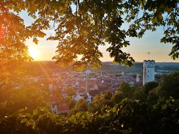 Trees and buildings against sky during sunset