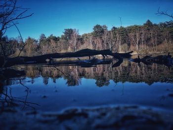 Reflection of trees in lake against blue sky