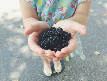 Close-up of girl holding blackberries