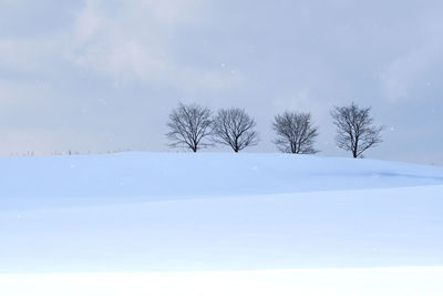 Bare trees on snow covered land against sky