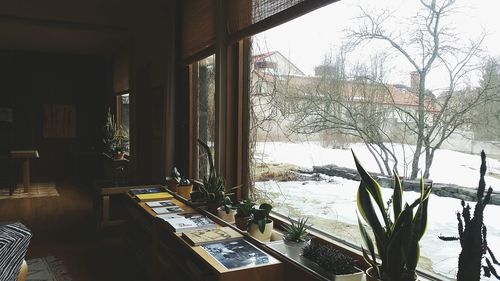 Plants and trees seen through glass window during winter