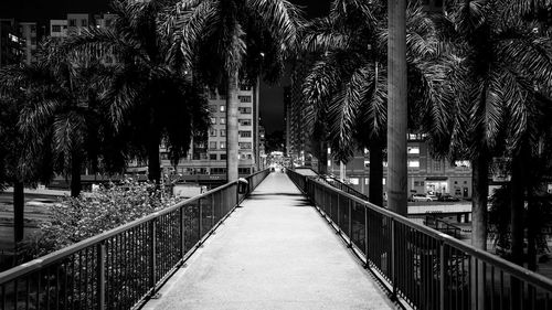 Empty footbridge amidst palm trees in city