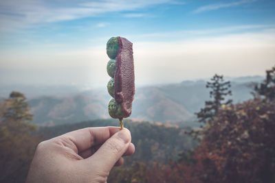 Close-up of hand holding food against mountains