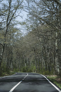 Road amidst trees in forest