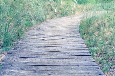 Boardwalk on landscape