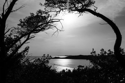 Silhouette tree by sea against sky