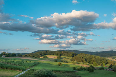 Scenic view of agricultural field against sky