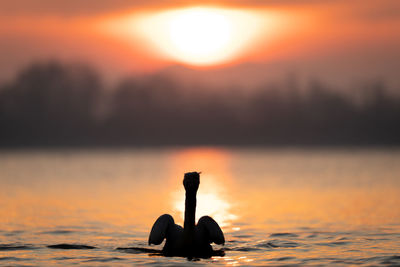 Rear view of silhouette woman sitting at sunset