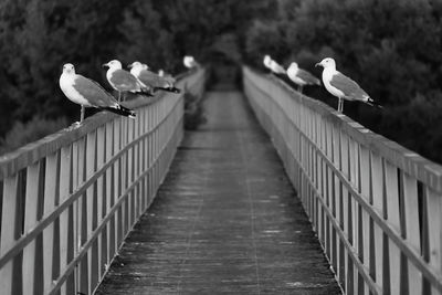 Rear view of man walking on footbridge