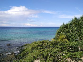 Scenic view of sea against sky