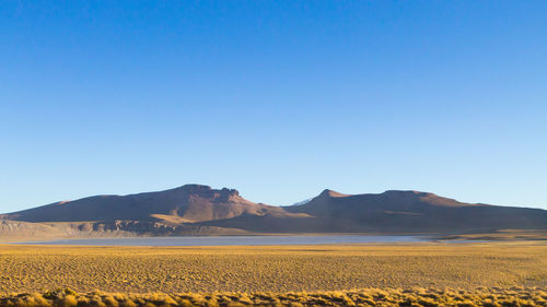 Scenic view of field against clear blue sky