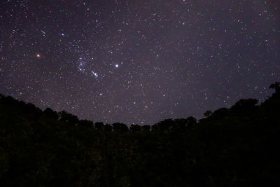 Low angle view of starry sky