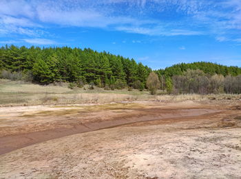 Beautiful blue sky with clouds over a dried pond near the forest on a sunny day