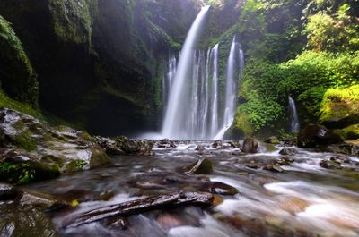 Scenic view of waterfall in forest