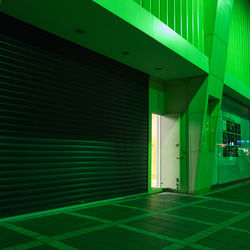 Illuminated green building