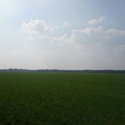 Scenic view of grassy field against sky