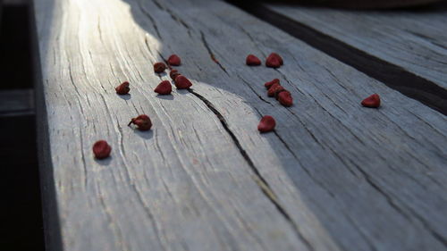 Close-up of fruits on wood