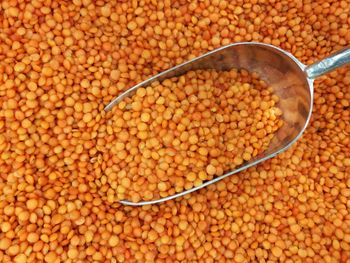 High angle view of lentils in container