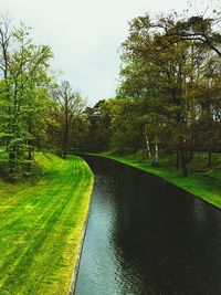 View of canal along trees