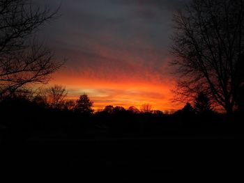 Silhouette trees on landscape against sky at sunset