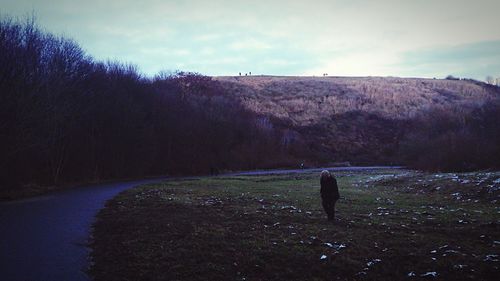 Road passing through landscape