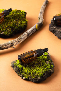 Set of bottles of cosmetic product on concrete stone with moss, eco and natural beauty concept. 