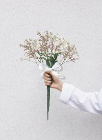 Midsection of person holding white flowering plant